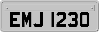EMJ1230