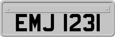 EMJ1231