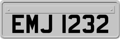 EMJ1232