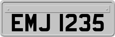 EMJ1235