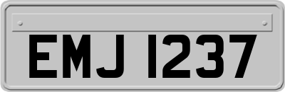EMJ1237