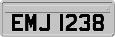 EMJ1238