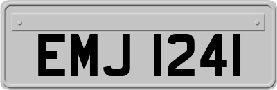 EMJ1241