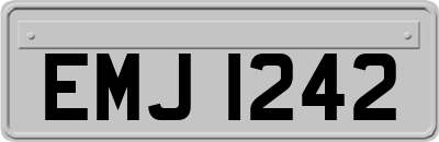 EMJ1242