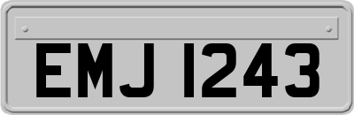 EMJ1243