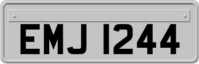 EMJ1244