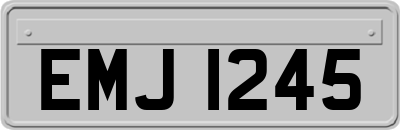 EMJ1245
