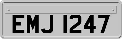 EMJ1247
