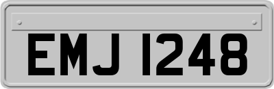EMJ1248