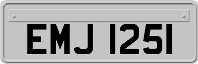 EMJ1251