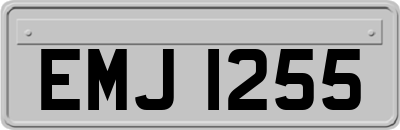 EMJ1255