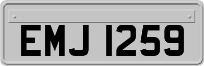 EMJ1259