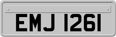 EMJ1261