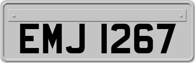 EMJ1267