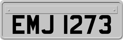 EMJ1273