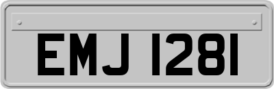 EMJ1281