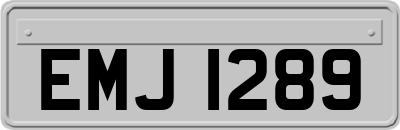 EMJ1289