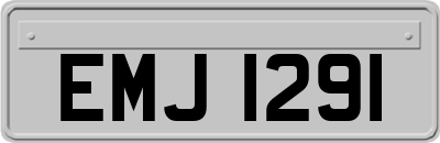 EMJ1291