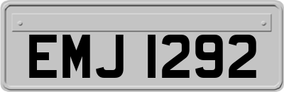 EMJ1292