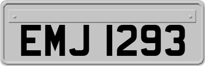 EMJ1293
