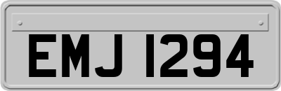 EMJ1294