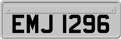 EMJ1296