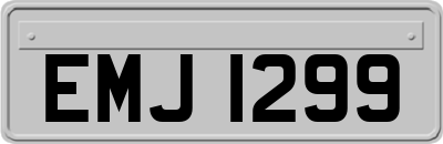 EMJ1299