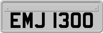 EMJ1300