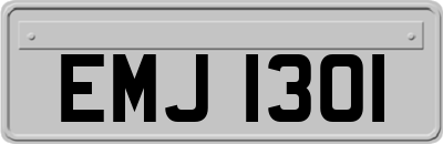EMJ1301