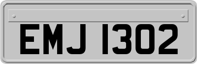 EMJ1302