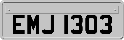 EMJ1303