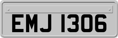 EMJ1306