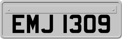 EMJ1309