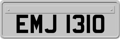 EMJ1310