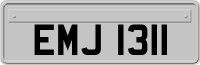 EMJ1311