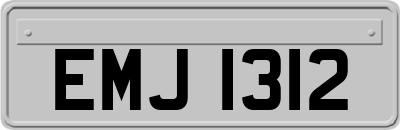 EMJ1312