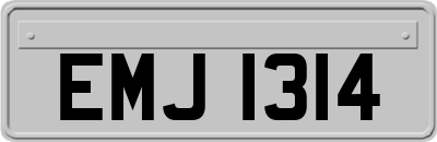 EMJ1314