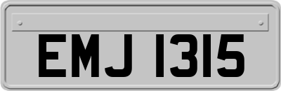 EMJ1315