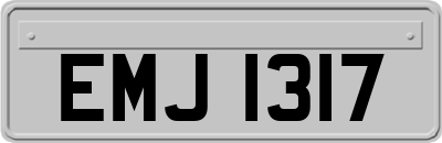 EMJ1317