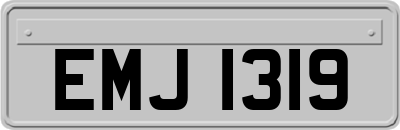 EMJ1319