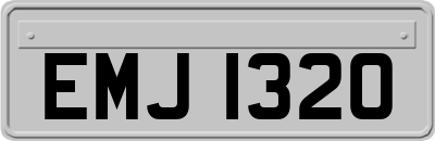 EMJ1320