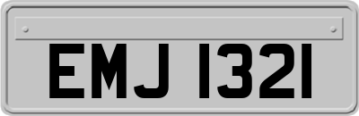 EMJ1321