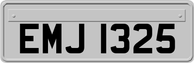 EMJ1325