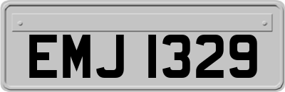 EMJ1329