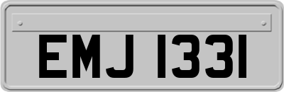 EMJ1331