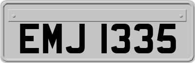 EMJ1335