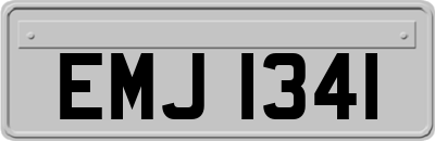 EMJ1341