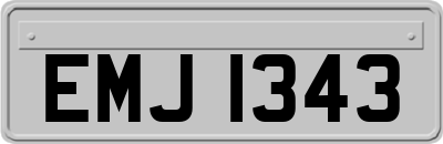 EMJ1343