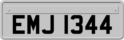 EMJ1344