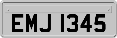 EMJ1345